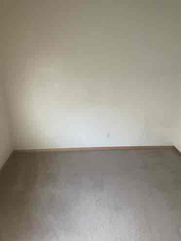 Looking to fill two vacant rooms!