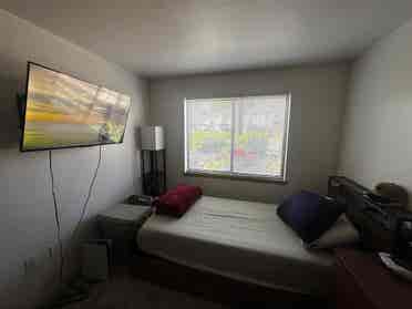 Room available in fircrest