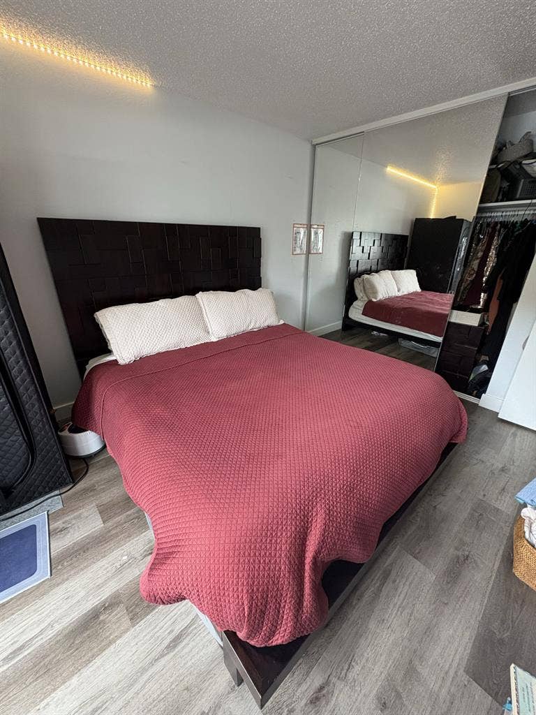 Female Roomate or Student inquires