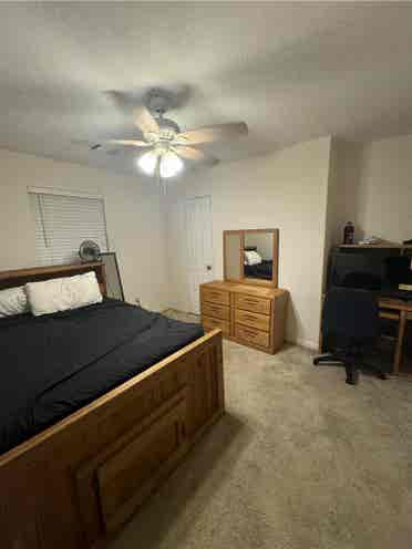 Room for rent