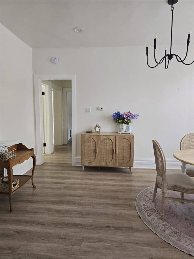 Stunning sunny flat needs roommates