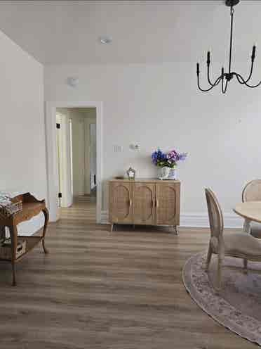 Stunning sunny flat needs roommates