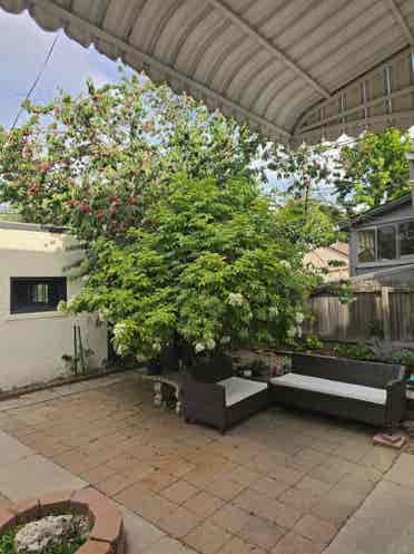 Stunning sunny flat needs roommates