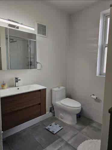 Stunning sunny flat needs roommates