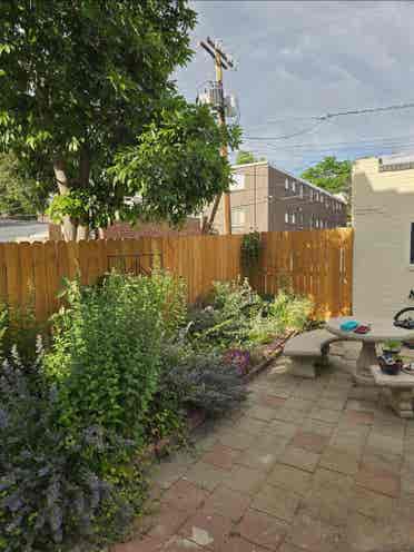 Stunning sunny flat needs roommates