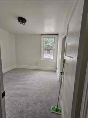 Stunning sunny flat needs roommates