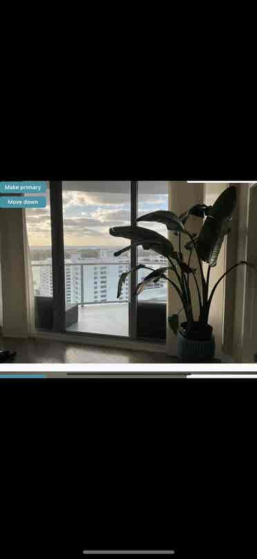 Room in  bath ocean view