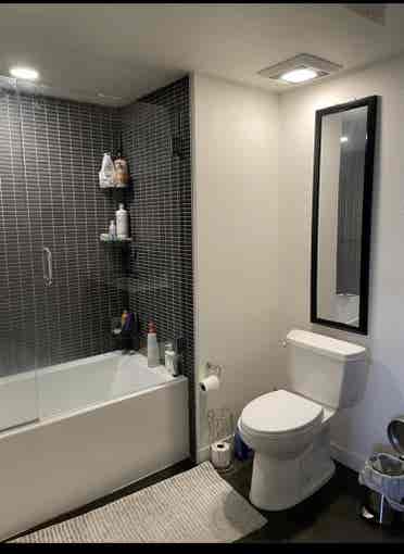 Private room/bathroom in Hollywood!
