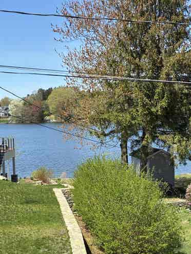 Looking for a responsible tenant