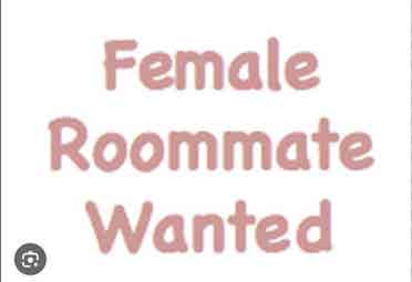 Private room for rent