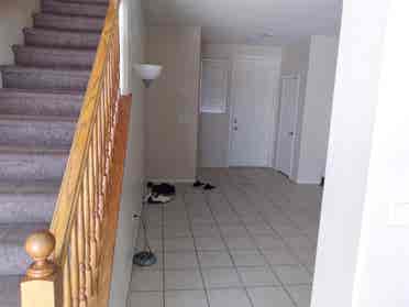 3 Rooms For Rent