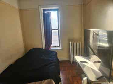 $br - room for rent. Midwood