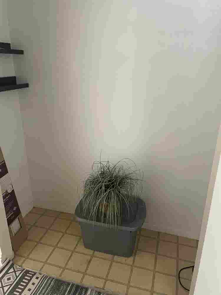 New Listing - Room for rent