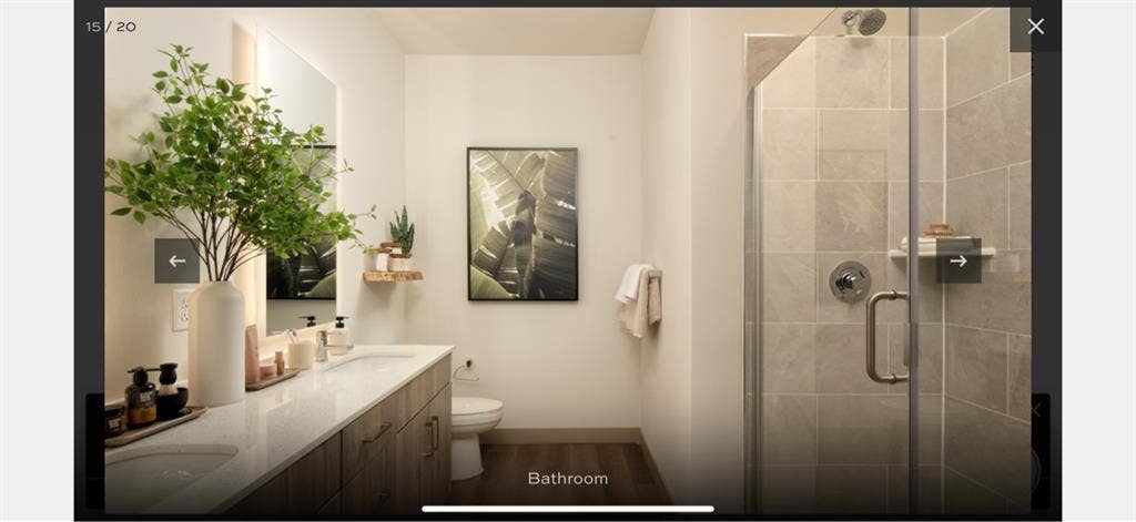 Roommate needed