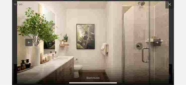 Roommate needed