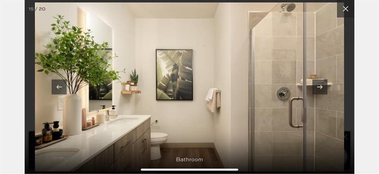 Roommate needed