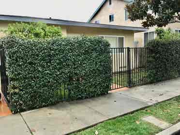 1 bedroom in 2 bedroom duplex