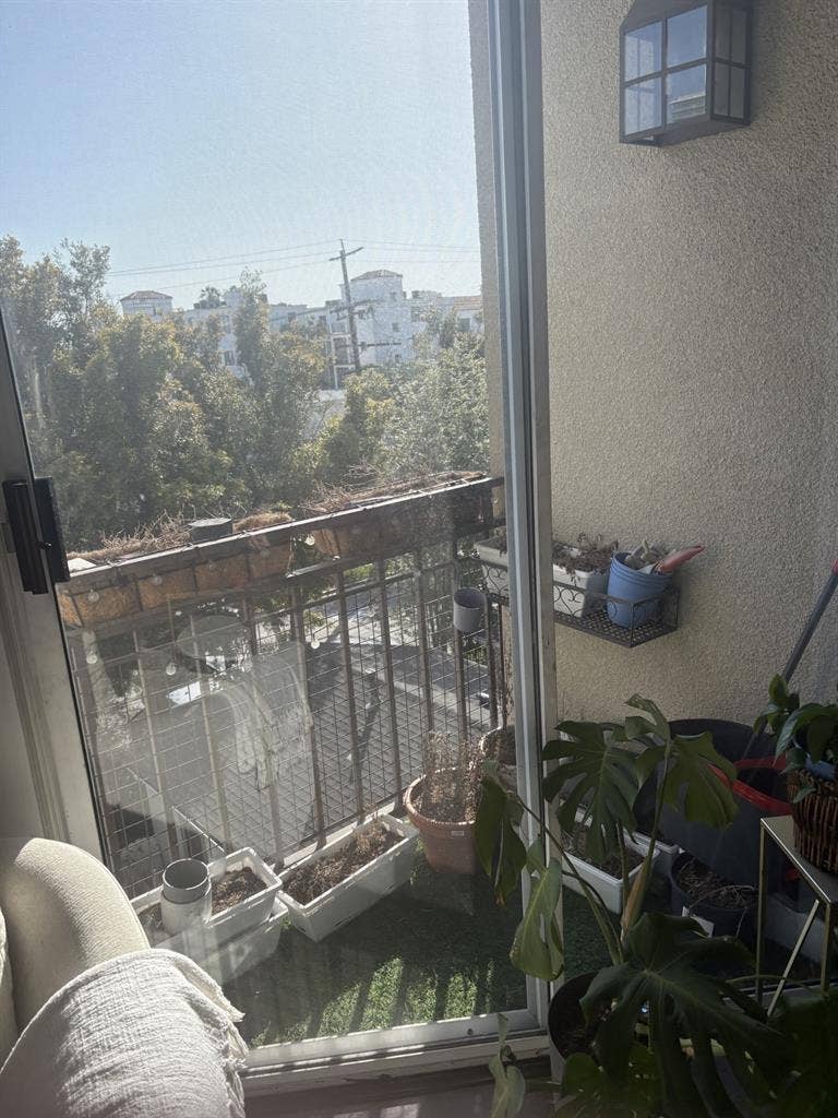 Looking for roomate July 1st!!