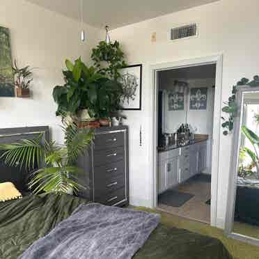 Garden Home.Spiritual Stay