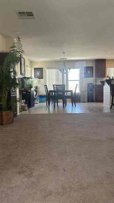 Room available July 1st