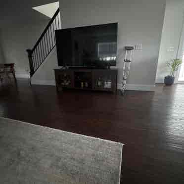 Looking for a roommate