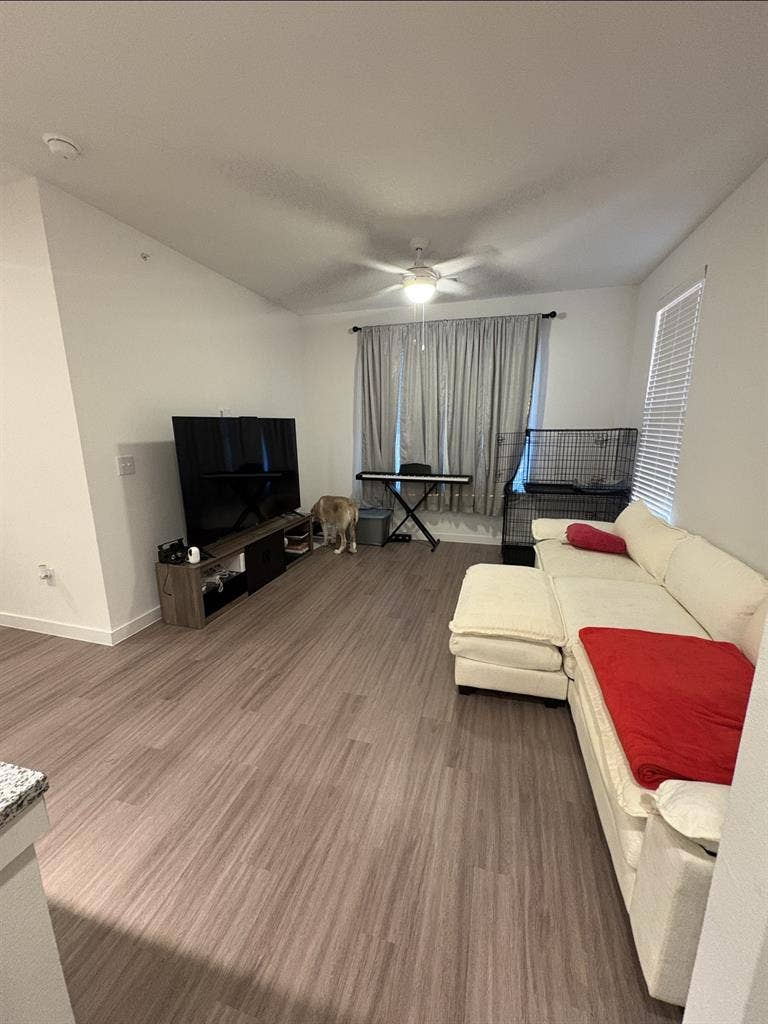 New Listing