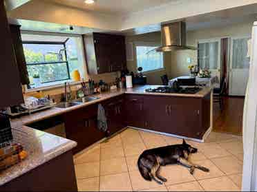 $ Room In Sherman Oaks Housee