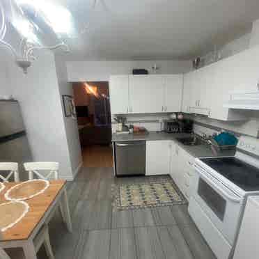 New Listing