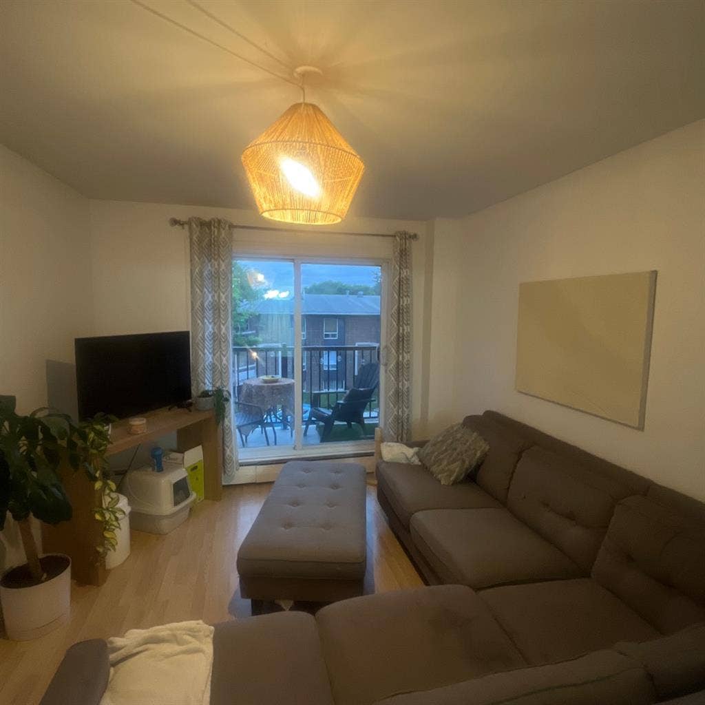 New Listing