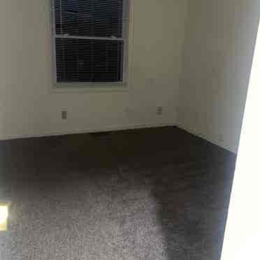 looking for 2 roommates!