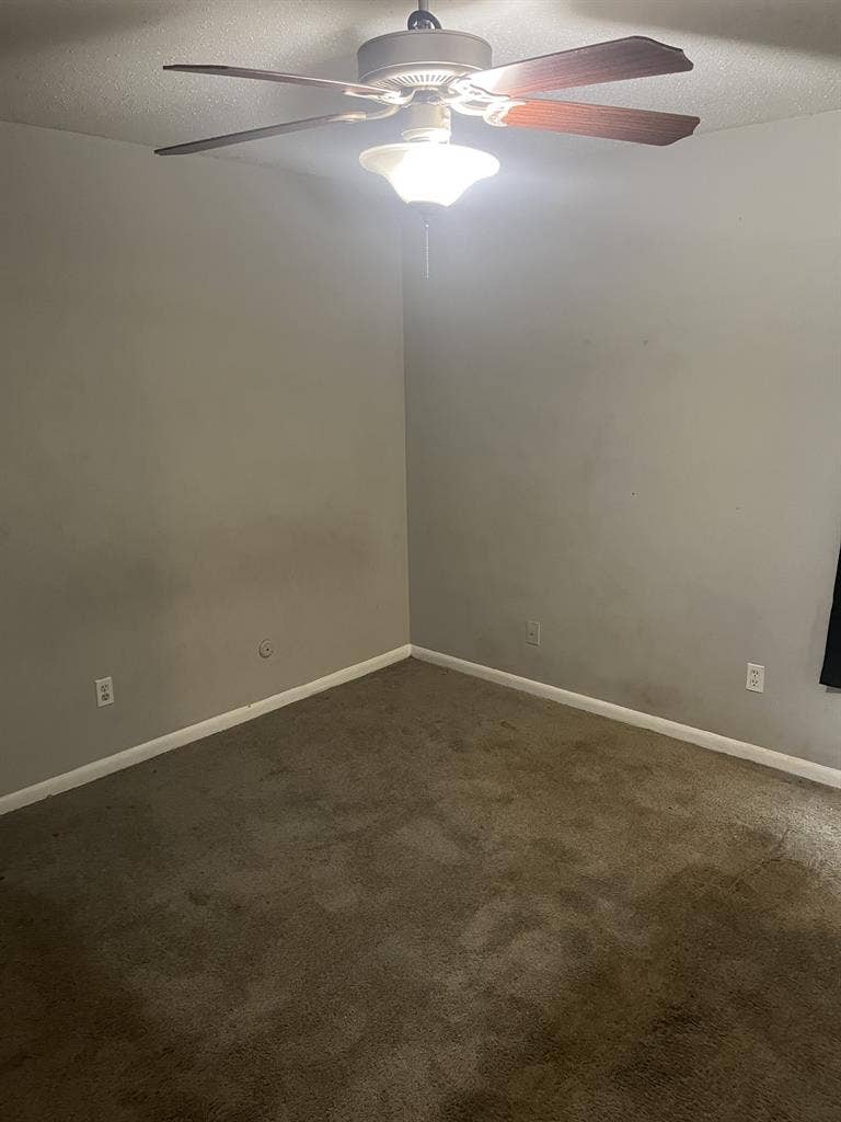 Single room available!