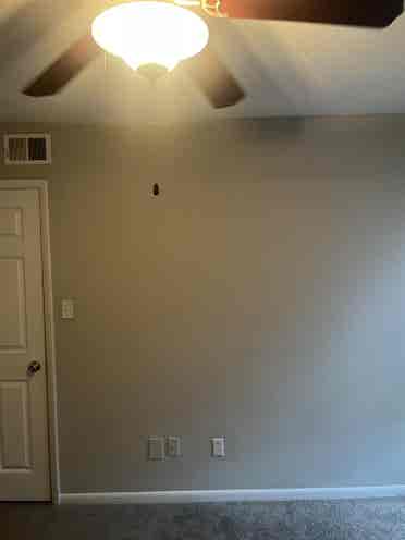 Single room available!