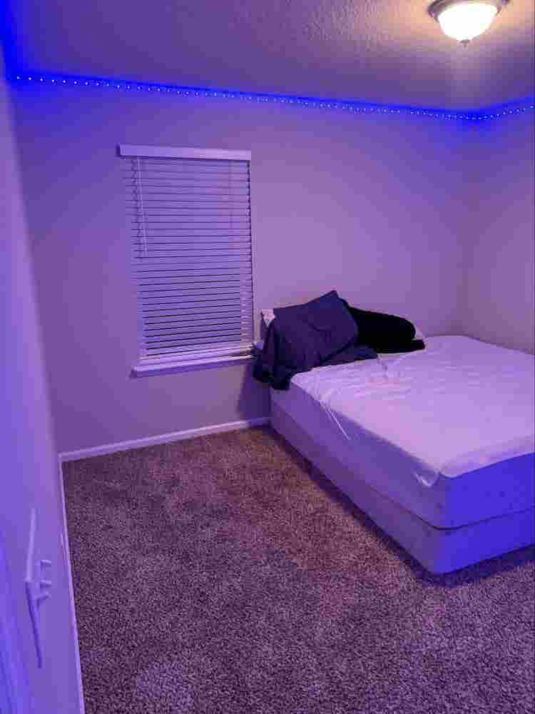 Room with king size bed