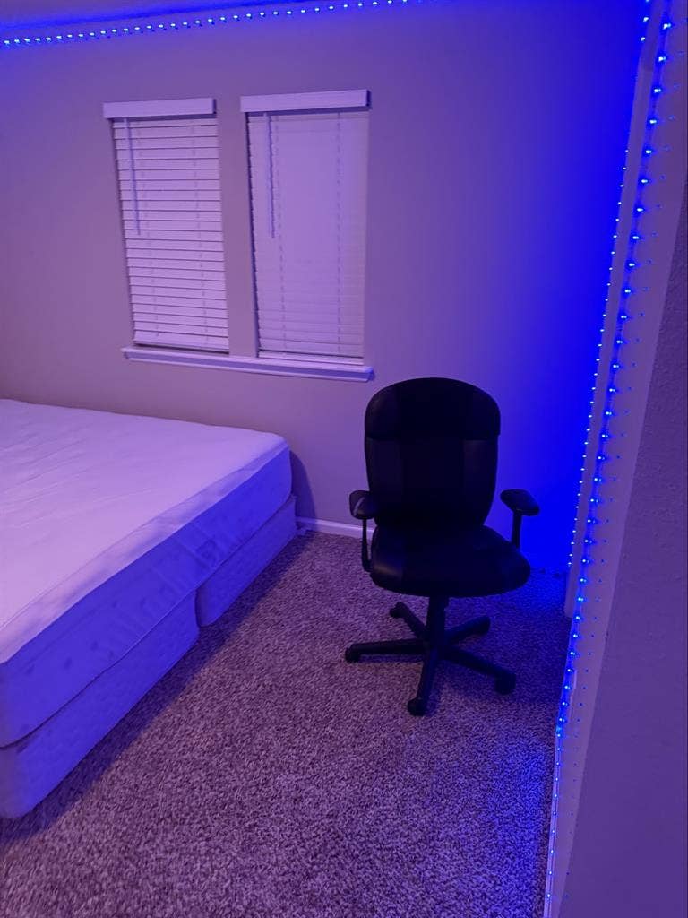 Room with king size bed