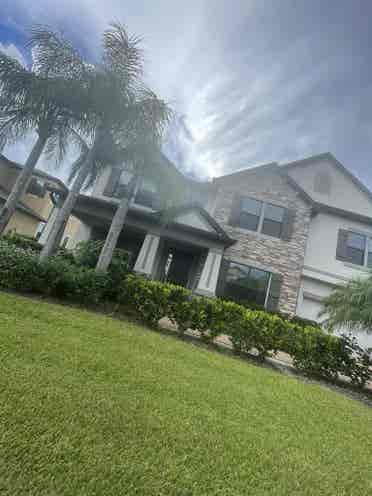 Luxury in exchange for