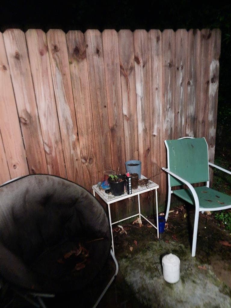 Roomate wanted!