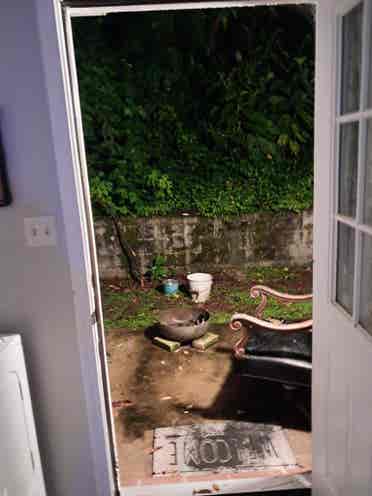 Roomate wanted!