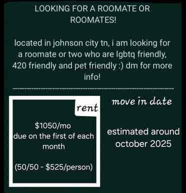 Roomate wanted!