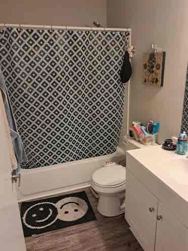Roomate wanted!