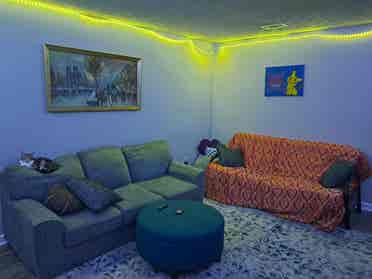 Roomate wanted!