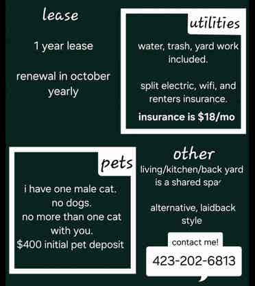 Roomate wanted!