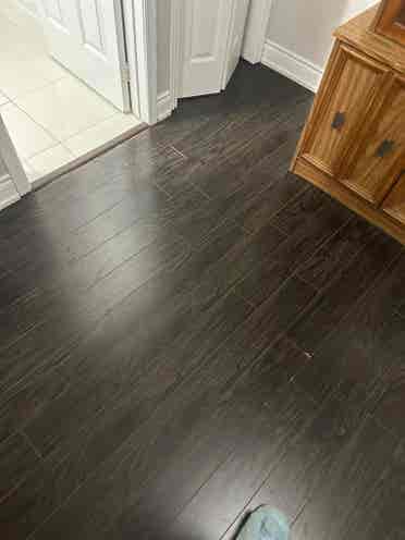2 Bedroom Basement - Brampton
