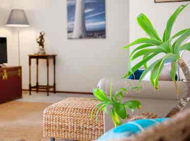 Great room to rent
