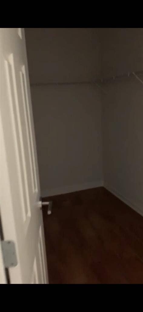 MASTER BEDROOM AVAILABLE BELLEVUE