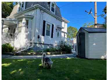 New Listing