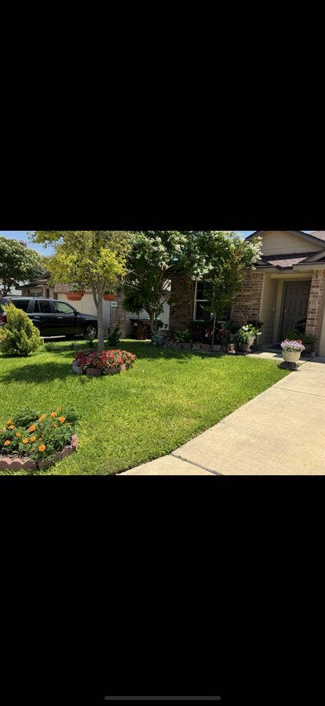 Best home in Dan Antonio