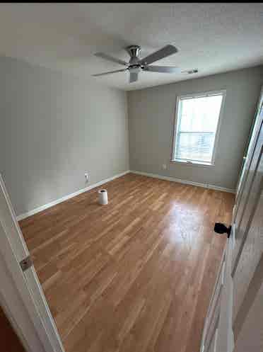 Looking for a roommate