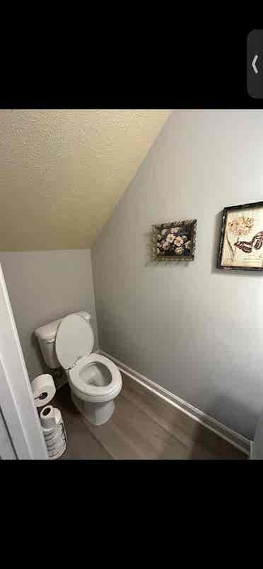Looking for a roommate