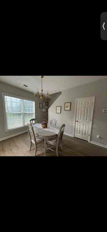 Looking for a roommate