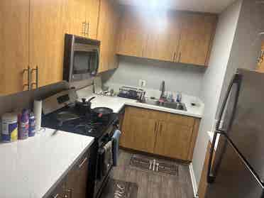 Need roommates to fill apartment